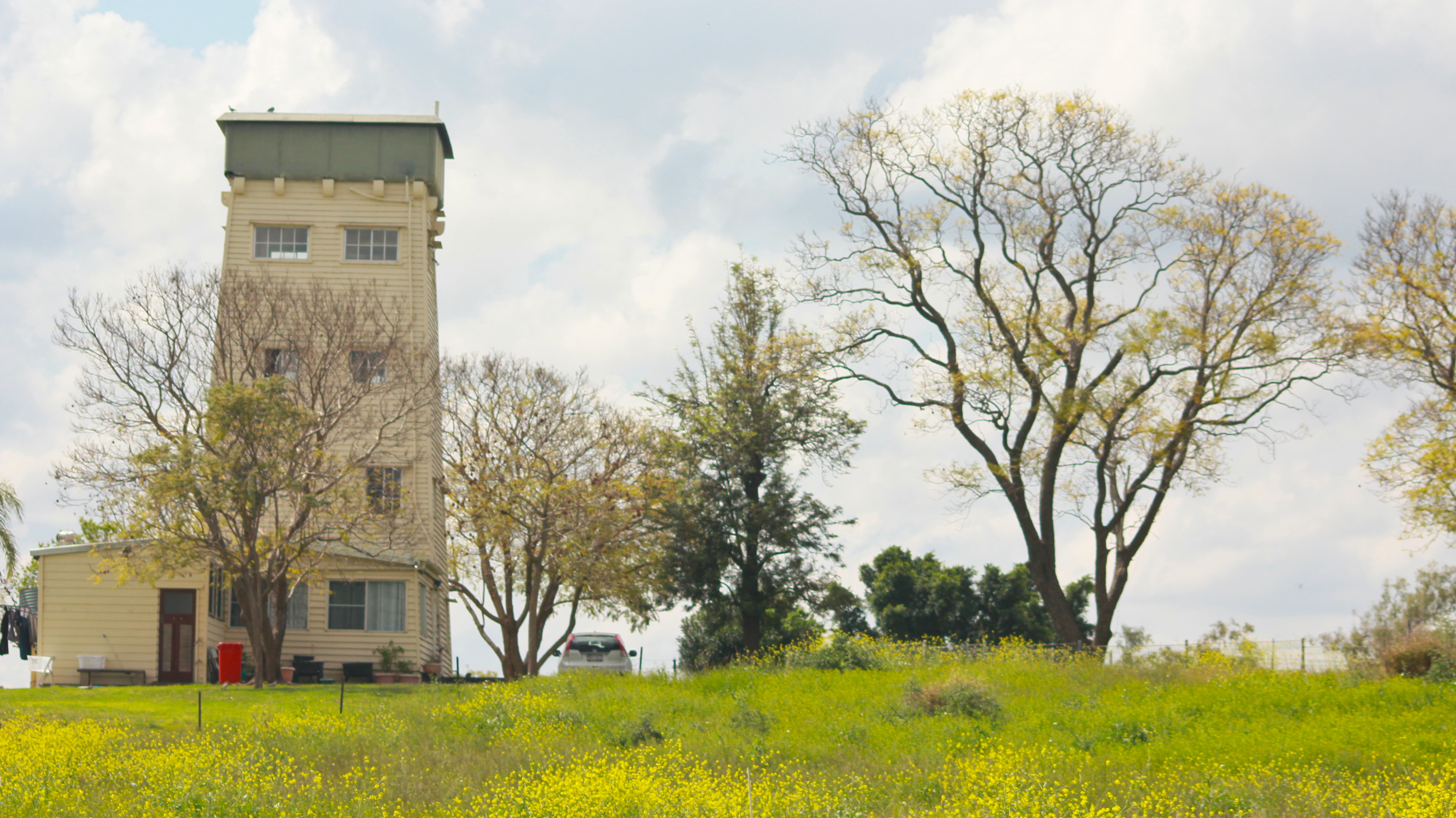 A watchtower with trees